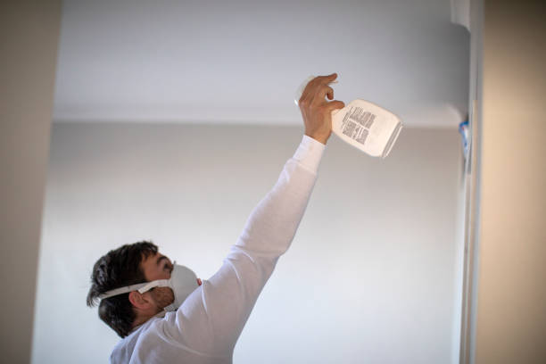 Best Mold Testing and Removal  in New Market, VA