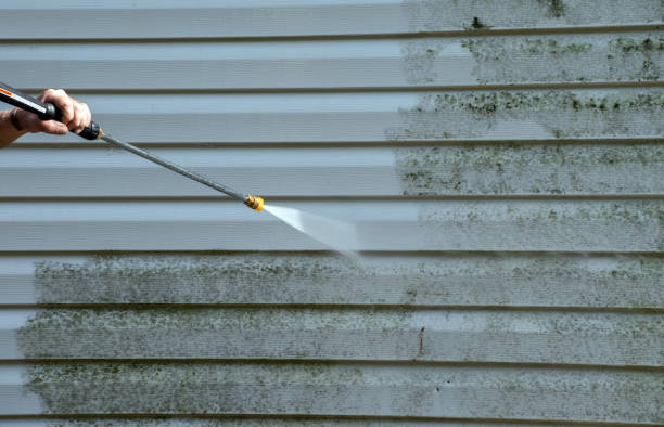 Mold Removal Process in New Market, VA