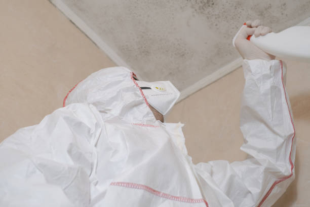 Best Crawl Space Mold Removal  in New Market, VA