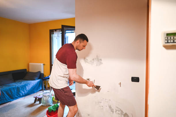 Best Commercial Mold Removal  in New Market, VA